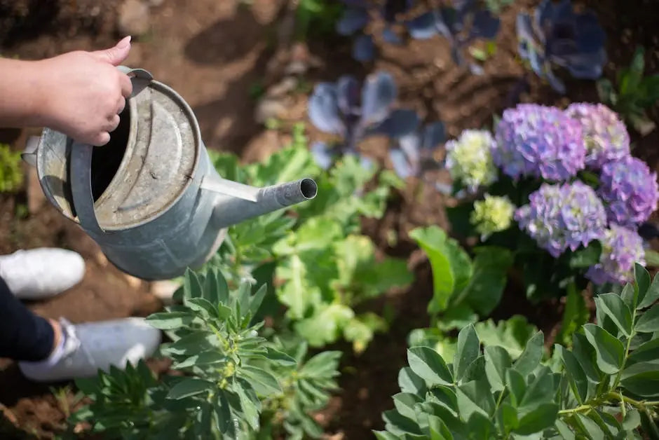 10 Easy Shopping Tips for Creating Your Backyard Oasis