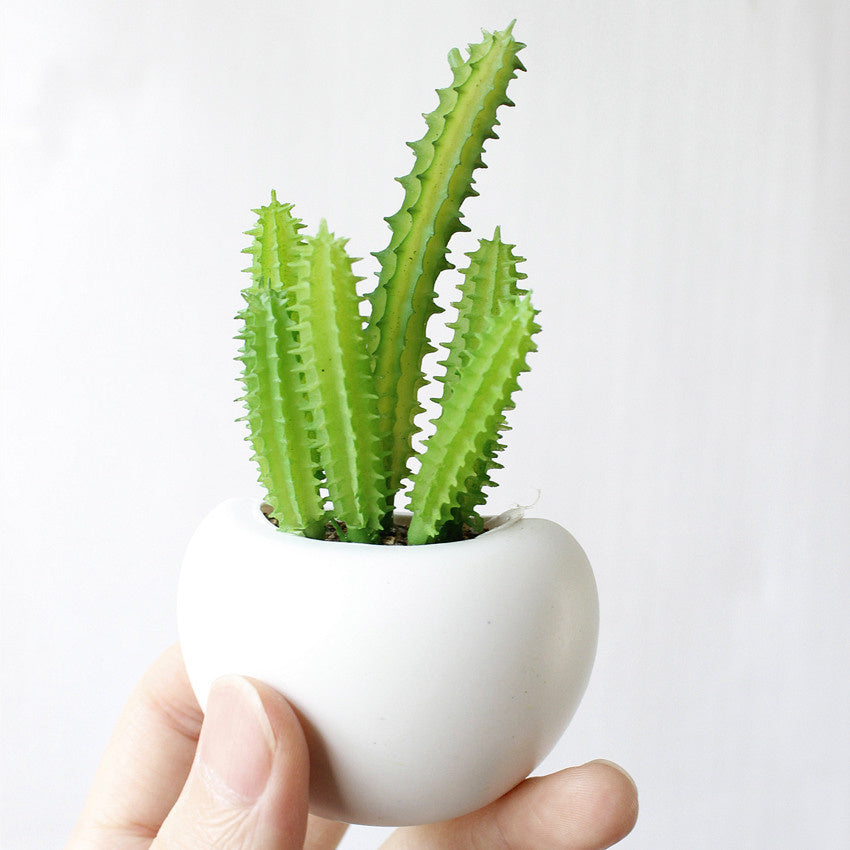 Cute Plant Fridge Magnets Decoration