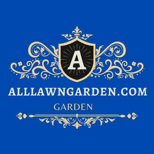 What Are the Most Comfortable Garden Chairs?