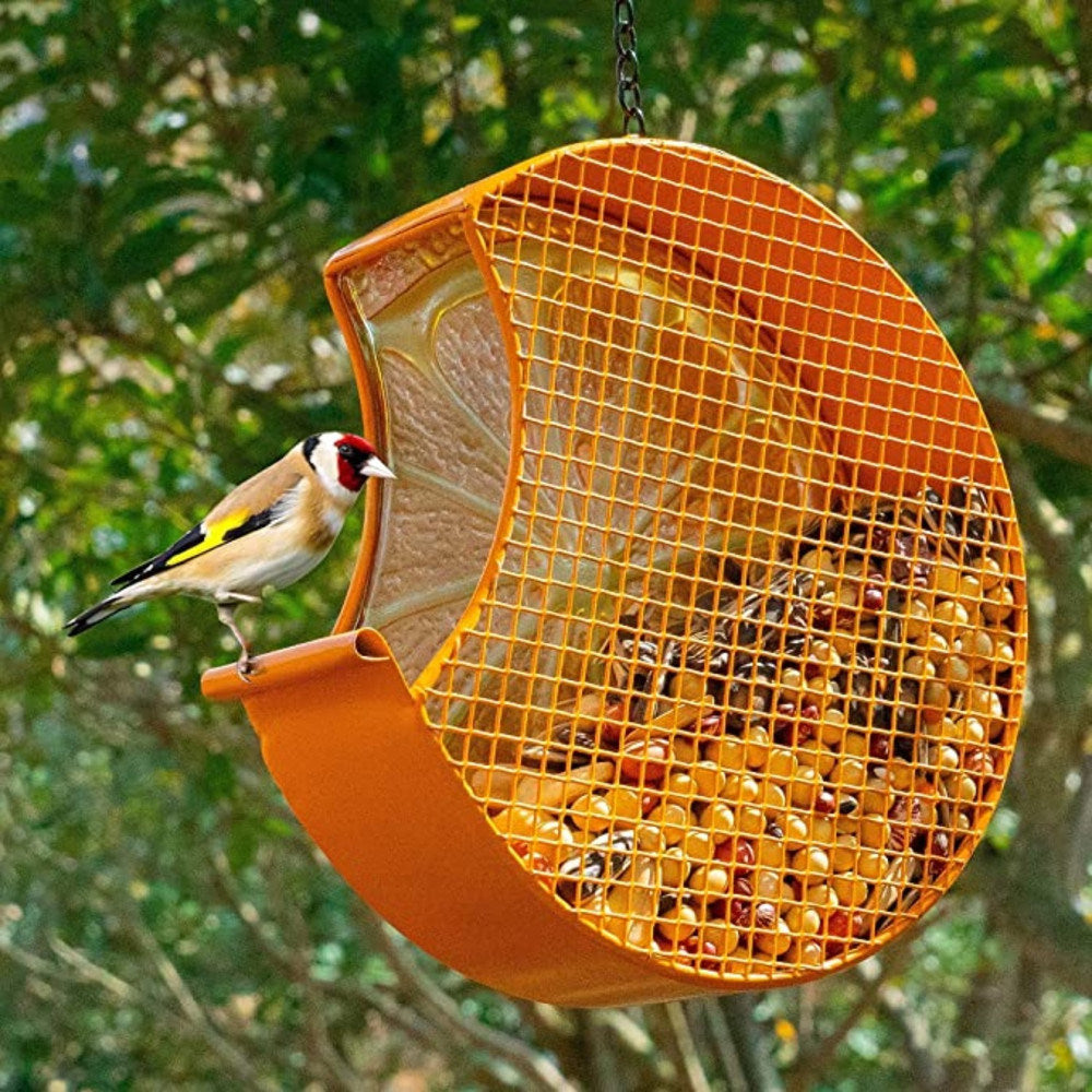 Yard Garden Decoration Hanging Panoramic Outside Bird Feeder