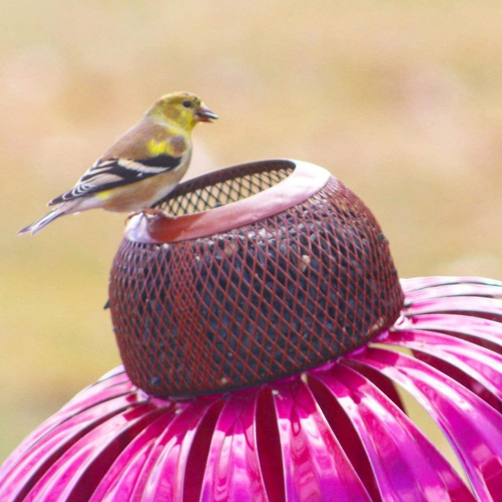 Pink Coneflower Bird Feeder