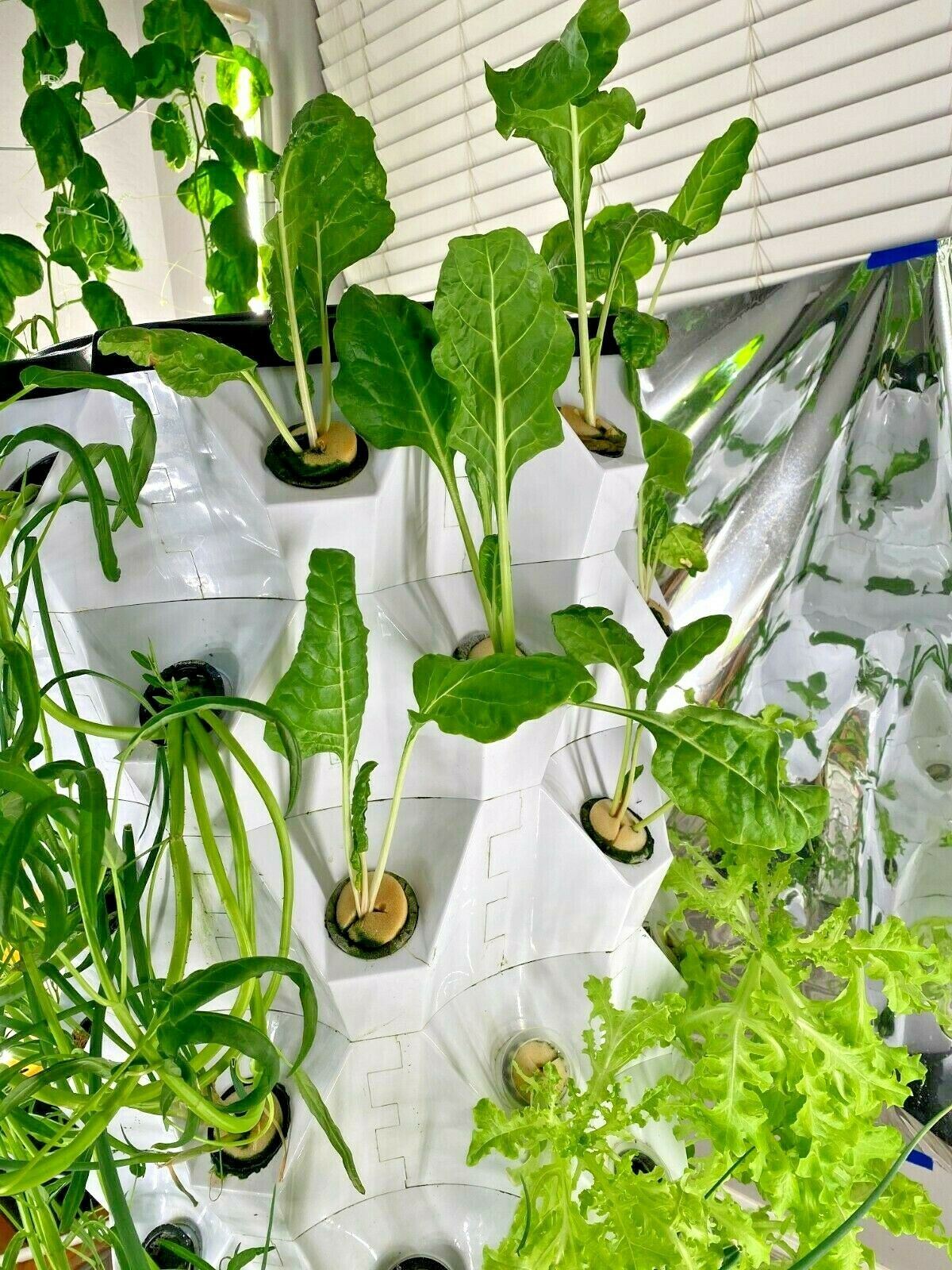 Aeroponics Equipment Pineapple Tower Garden Vertical Hydroponic Growing System 10 Layers 80 Plants