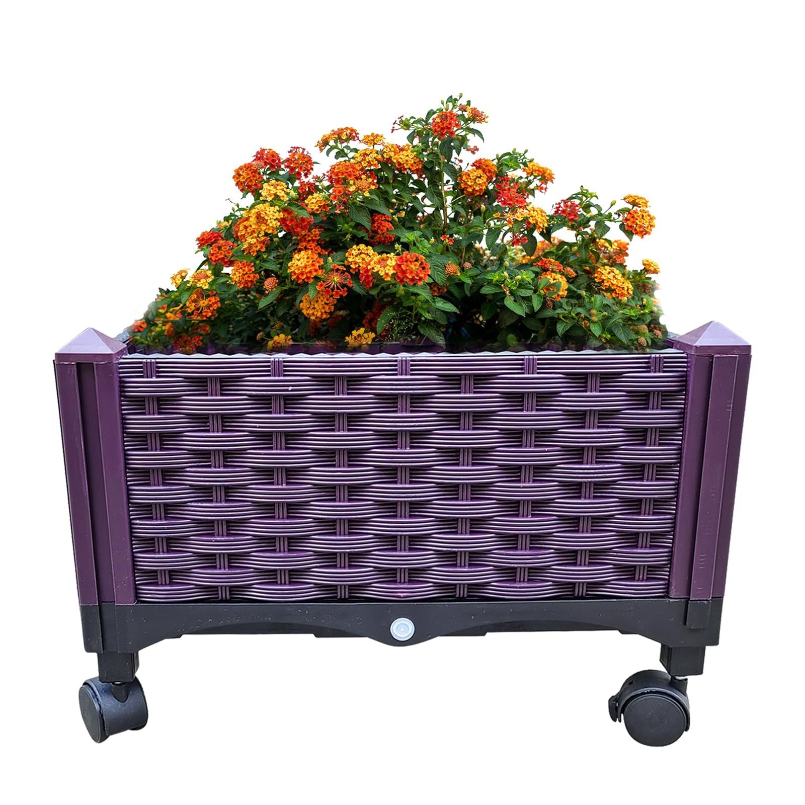 Plastic Rolling Raised Garden Bed, Planter Boxes with Wheels Mobile Planters for Outdoor Indoor Plants Elevated Garden Boxes Plant pots for Flowers, Vegetables, Fruits, Herbsegetables, Fruits, Herbs